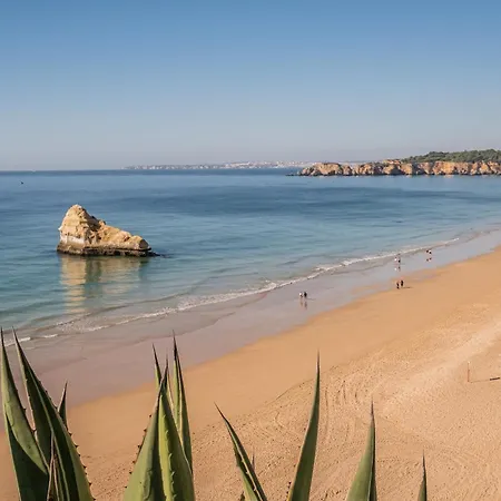 Sea View 8e Apartment